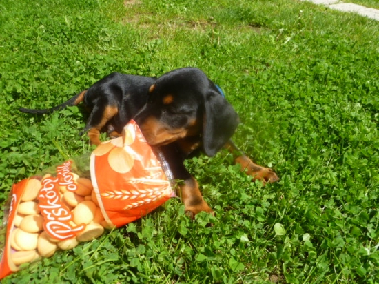 že by som sa ponúkol ?