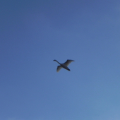 prva  umelecka fotka mojej  drahej