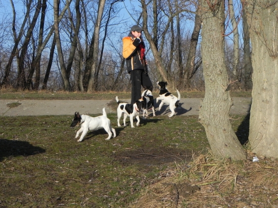 moja draha  a  nasi  FOXICI