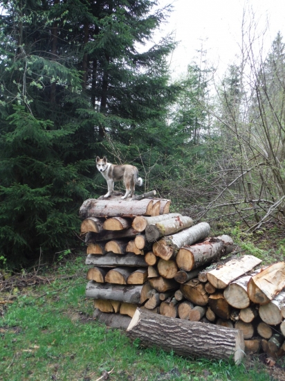 no čo už som velka