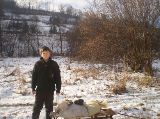 včerajšie prikrmovanie