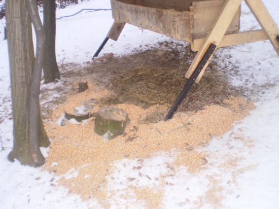 dnešne prikrmovanie