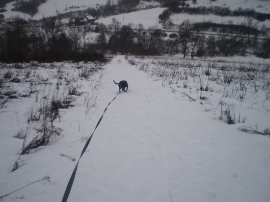 Beny na umelej stope