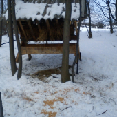 dnešne prikrmovanie