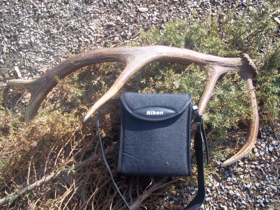 sobotnajšie šťastie