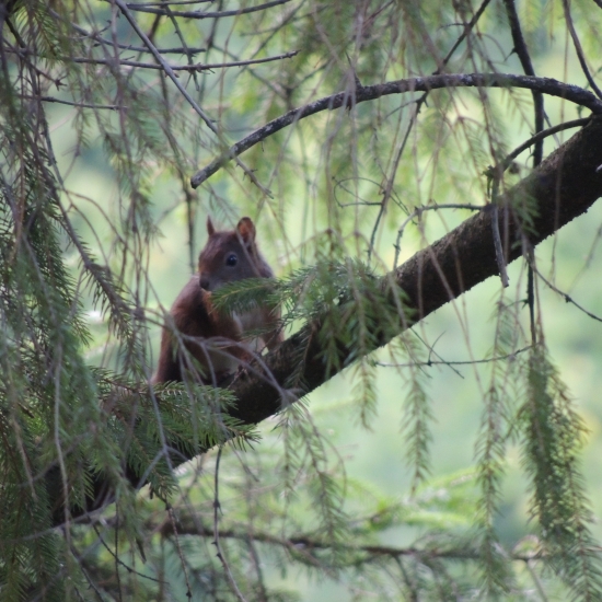 konečne mi neušla :)