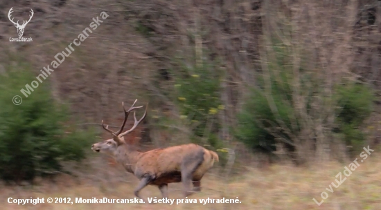 moja raritka (fotka z videa)