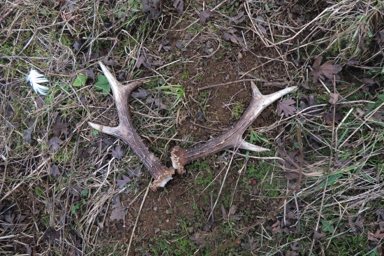 moje životne prvé :)