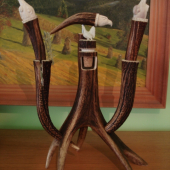 Sada na vino TETŘEV