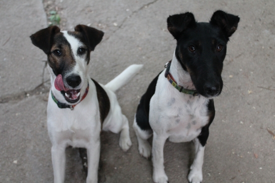 Ančíí a Corčíí :)