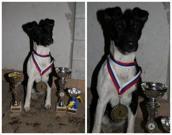 Corina Laro Slovakia