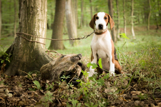 Zara po úspešnej stope :)