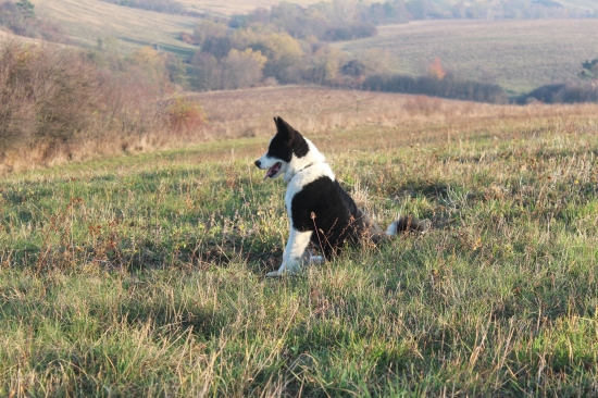 sedime si a pozorujeme...