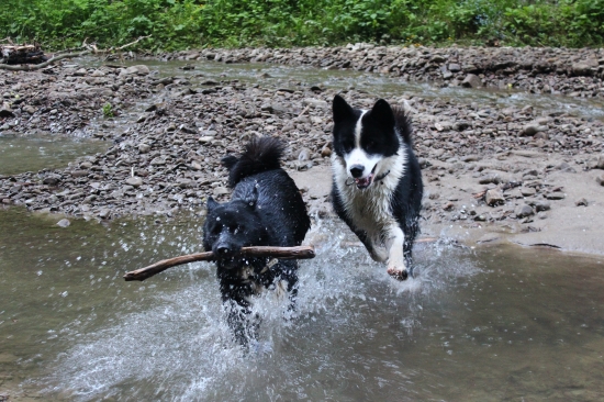 Aj ja chcem aport :-)