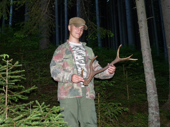 následky vlka v revíri