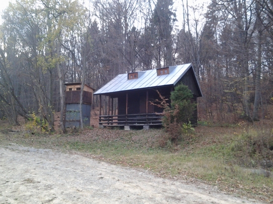 Pohoda hlboko v lese