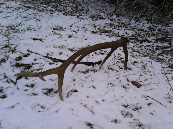 Dnes doobeda...tohtoročný...