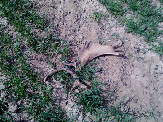 šťastie aj smola ...