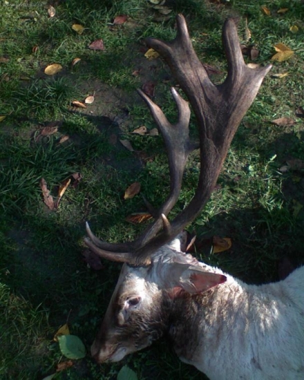 od Diany pre šťastie...