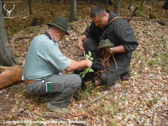 Lesné skúšky malých plemien 2009