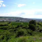 Hlohovec