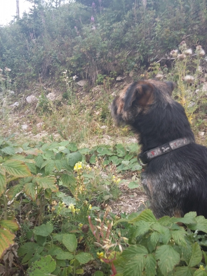 naša bohatstvo a parťák