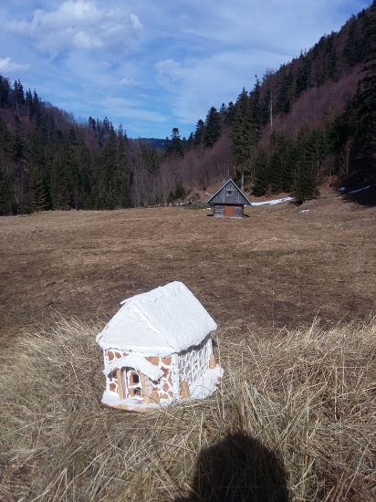 zmenšená dobrota pre macka