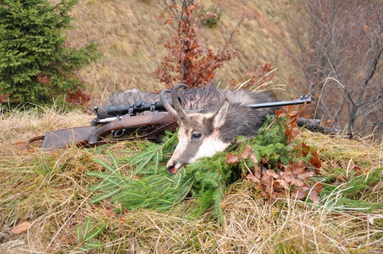 O päť minút dvanásť ....