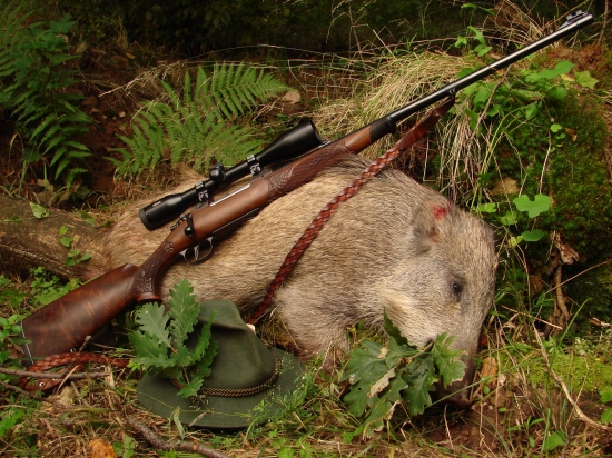 Malé, ale potešilo