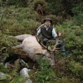 Ruja 2009