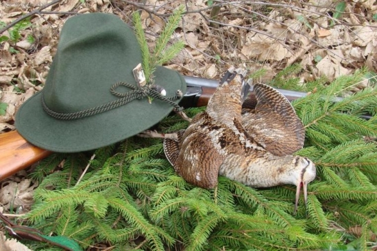 Pár rokov dozadu...