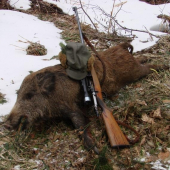 Diviača