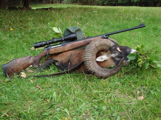 Môj splnený veľký poľovnícky sen!