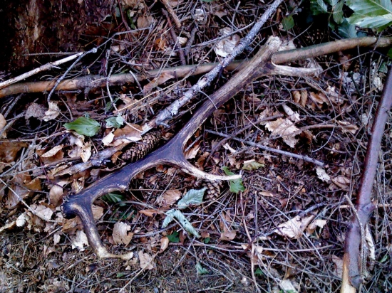 nájdený minulý týždeň v práci