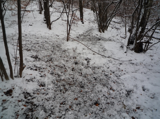 vysoká v noci žúrovala :D