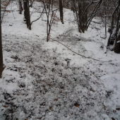 vysoká v noci žúrovala :D