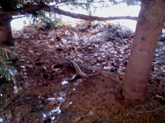 dnešný..keď zbadám všetko :)