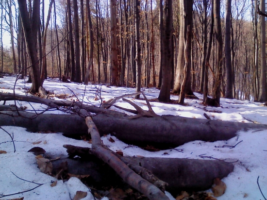 iba konár, ale riadne ma trhlo...