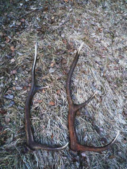 piatkové s kamarátom