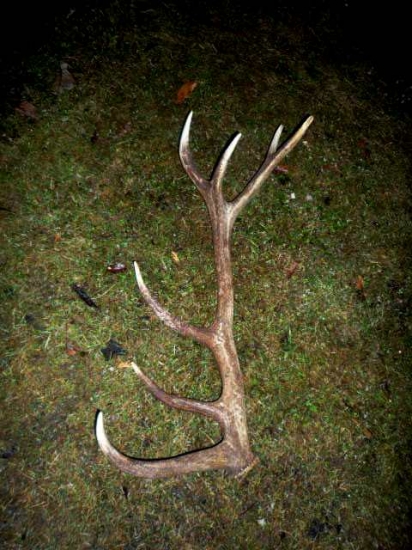 dnešný dozber z minulého roku