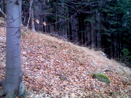 nájdený ďalekohľadom