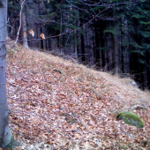 nájdený ďalekohľadom