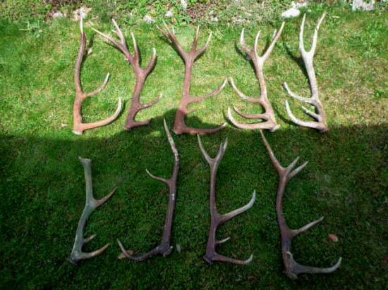 2012 -  zatiaľ toho roku