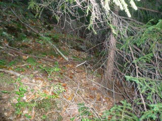 prvý pohľad 17/2012