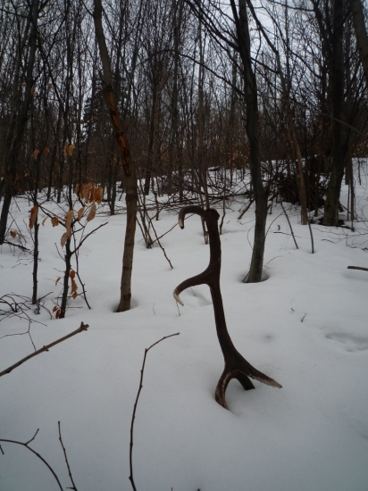 skoro som infarkt dostal