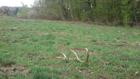 priateľkin prvý :-)