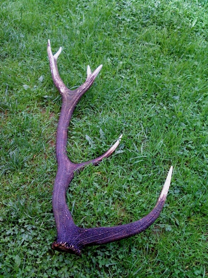 pri vyznačovaní prebierky