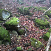 pohľad, až sa mi kolená roztriasli