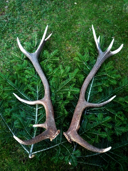 šťastie stretlo aj mňa :-)