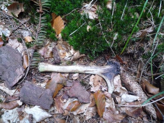 aj najmenší poteší